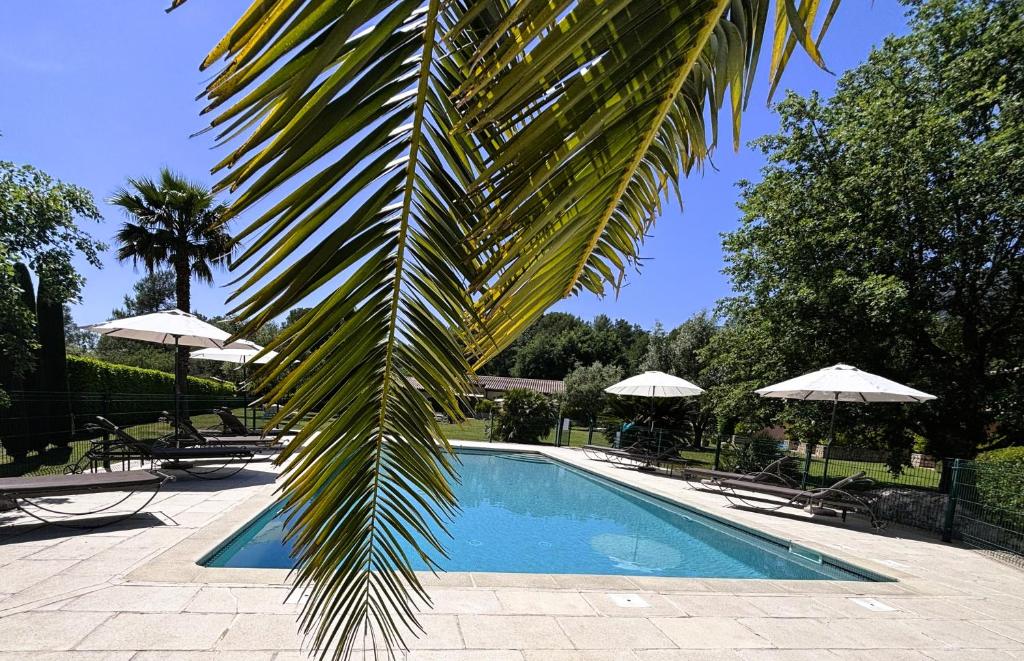 a palm tree next to a swimming pool with umbrellas at La Résidence du Moulin in Tourrettes-sur-Loup