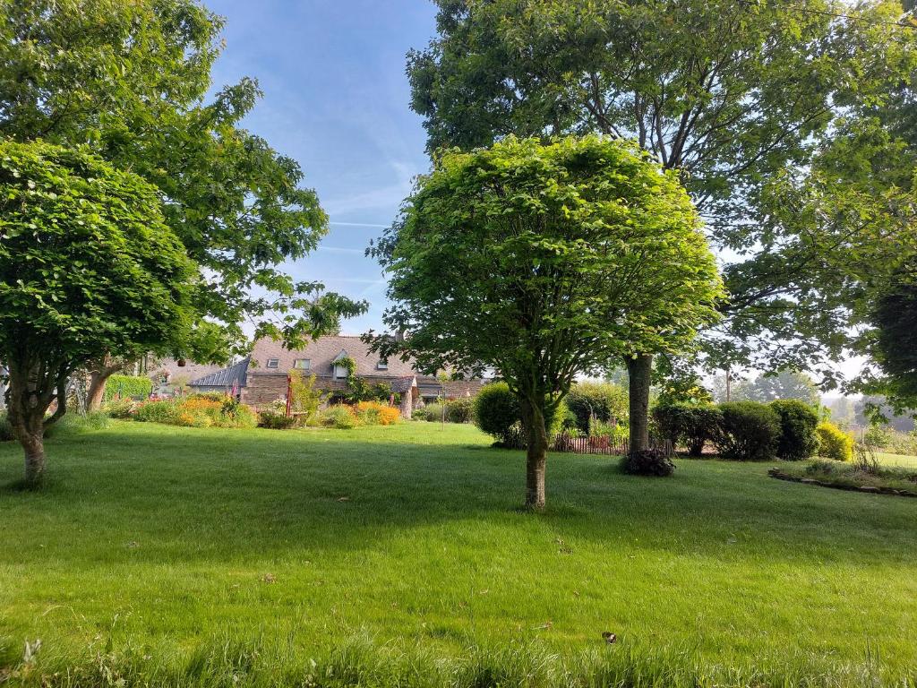a green field with two trees in a yard at La Lézardière in Pleugriffet
