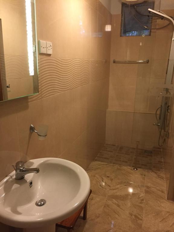 Le leopard d 'argent - 6