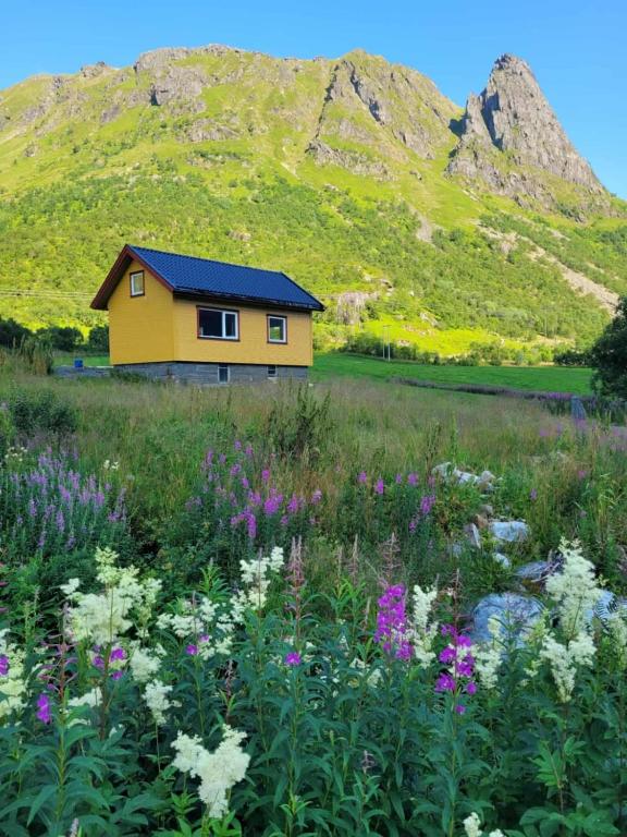 a yellow house in the middle of a field with flowers at Higravstinden Basecamp - Lofoten in Laupstad