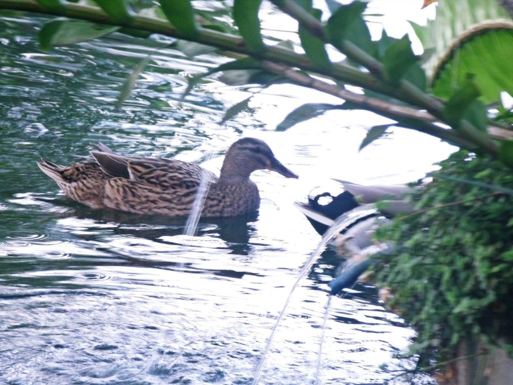  Pousada Vila Verde