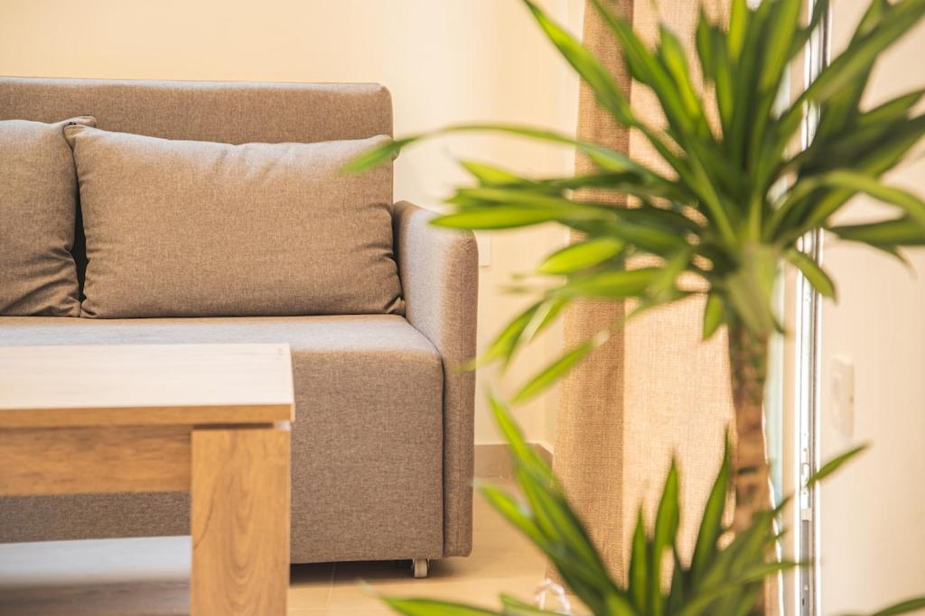 a couch in a living room with a plant at Central cozy studio in Agios Nikolaos