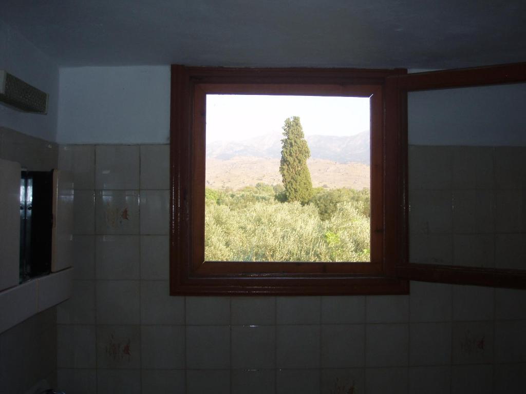 Eleni Studios & Apartments - 4