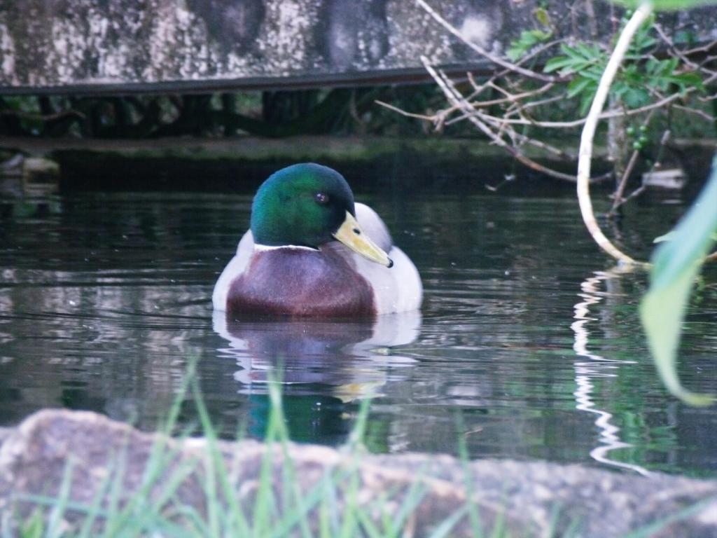 Pousada Vila Verde