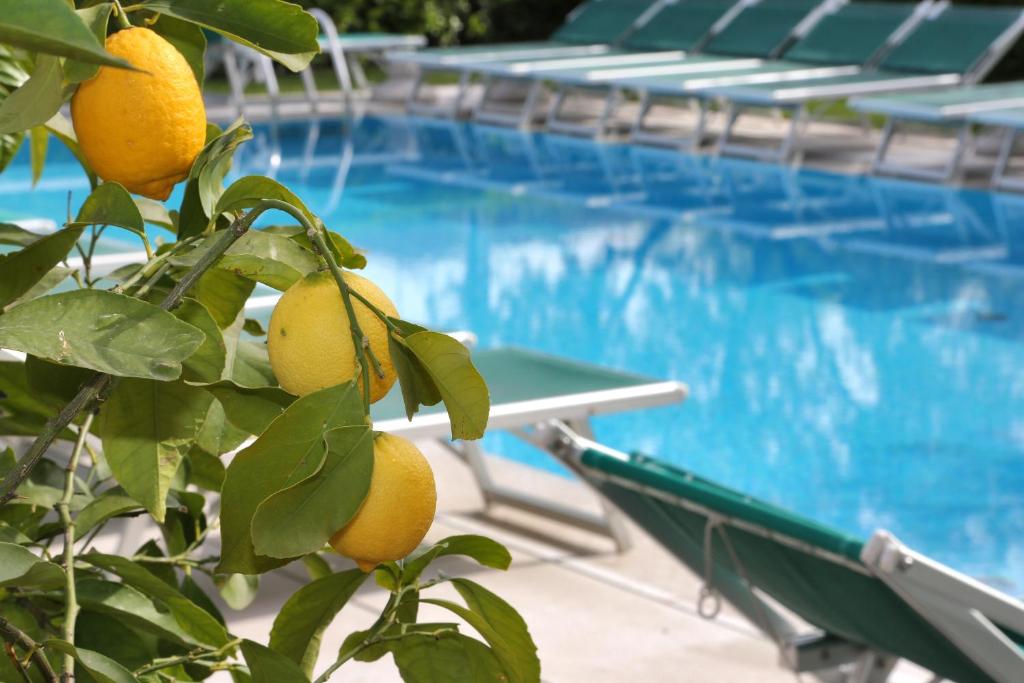 Bazén v ubytovaní Hotel Al Sole Bardolino alebo v jeho blízkosti