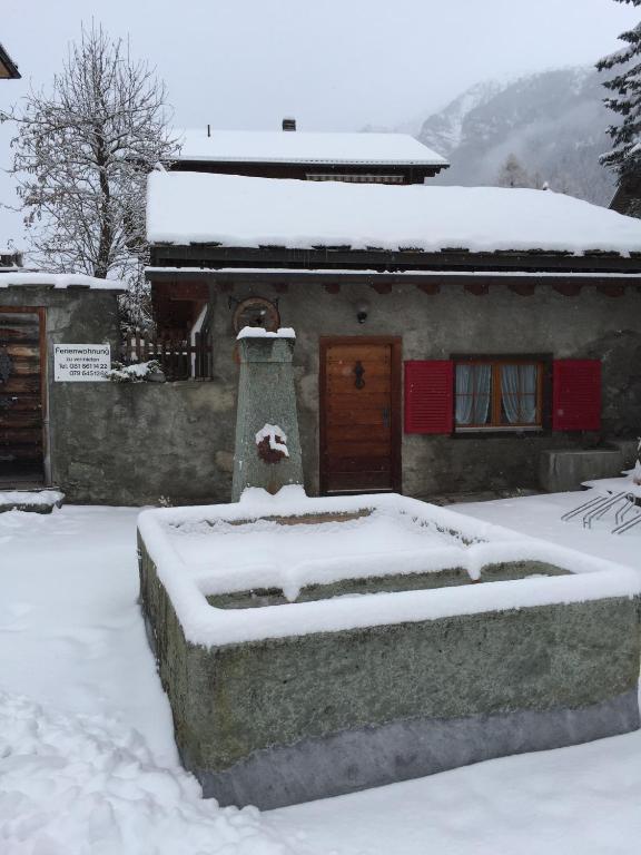 Fravgia veglia v zimě
