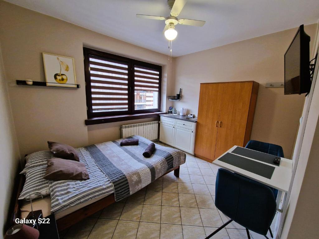 a bedroom with a bed and a sink and a window at Pokoje Roztoki 4a in Rabka-Zdrój