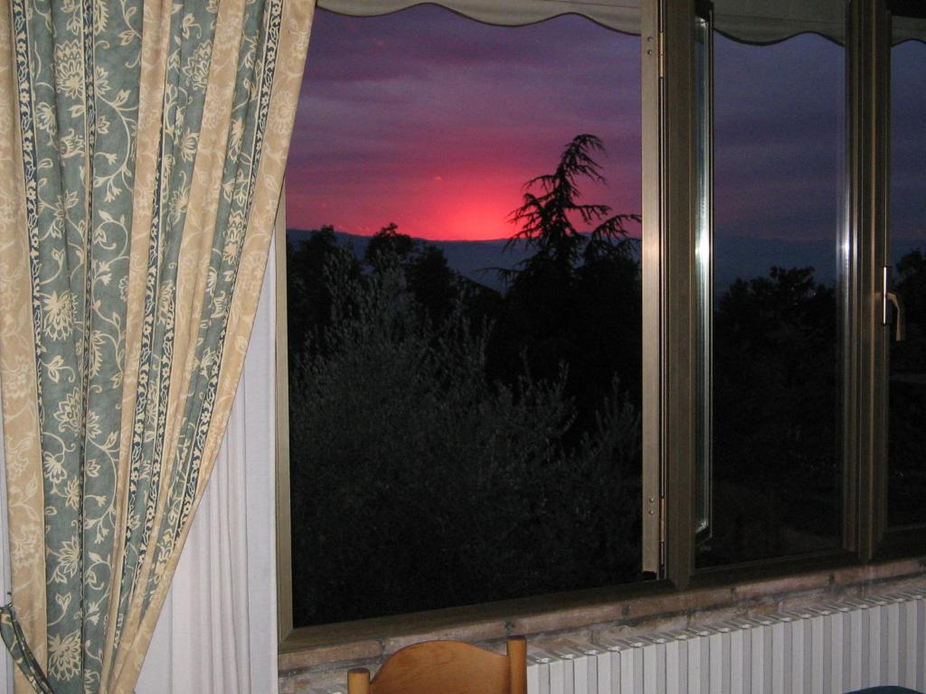 Przyroda w pobliżu tego hotelu