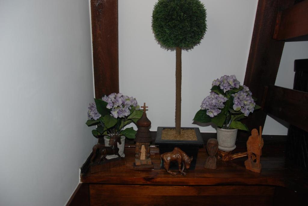Fotografia z galérie ubytovania ApartHome Barbara 1 Toruni