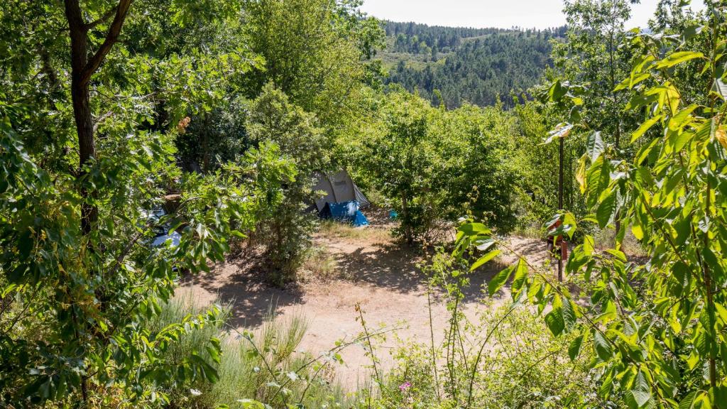 Příroda nedaleko luxury tent