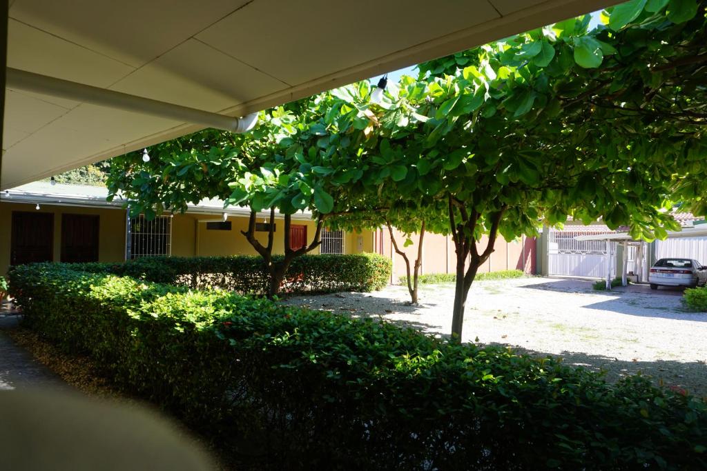 Zahrada ubytování Villa Vilar
