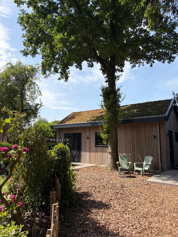 a house with two chairs and a tree at De Eikenloft in Heerenveen