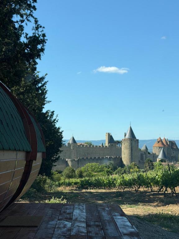 a view of a castle in the distance at Le Tonneau in Carcassonne