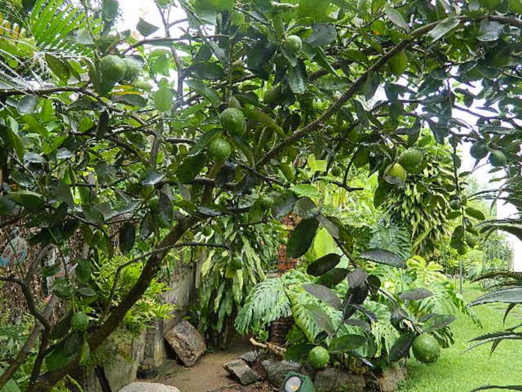  Casa Santa Teresa B&B
