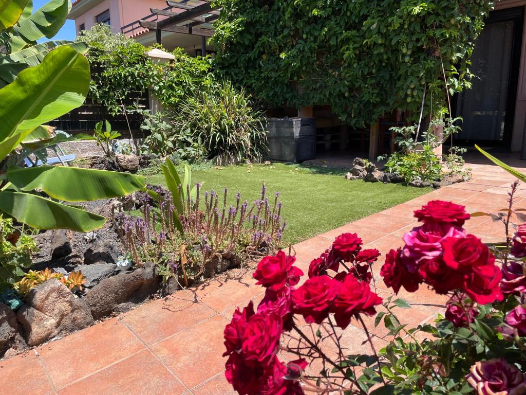 a garden with red flowers on a brick path at casa Maracujá in Majanicho