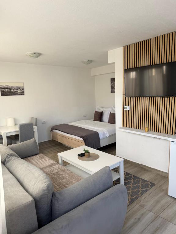 a hotel room with a couch and a bed and a tv at Lux Studio Apartments in Žabljak