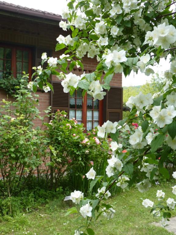 Vonkajšia záhrada v ubytovaní B&B The Roses Garden