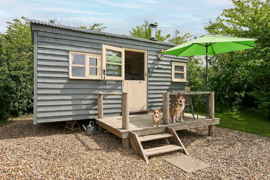 a tiny house with two dogs sitting on a bench at Host & Stay - Shepherds Delight in Alburgh
