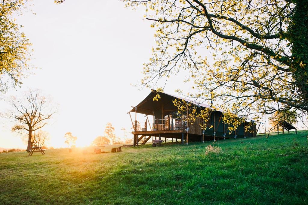 a cabin in the middle of a grassy field at Brocklands Farm Glamping in Petersfield