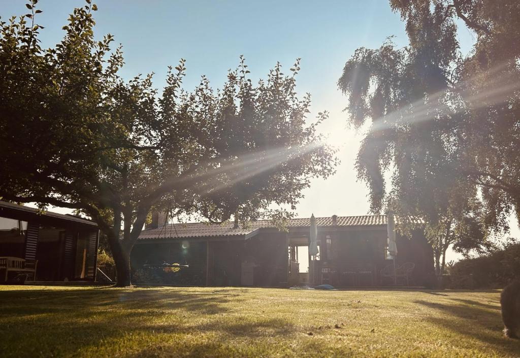 a house in a yard with the sun shining at Charming And Cozy Cottage in Tranekær