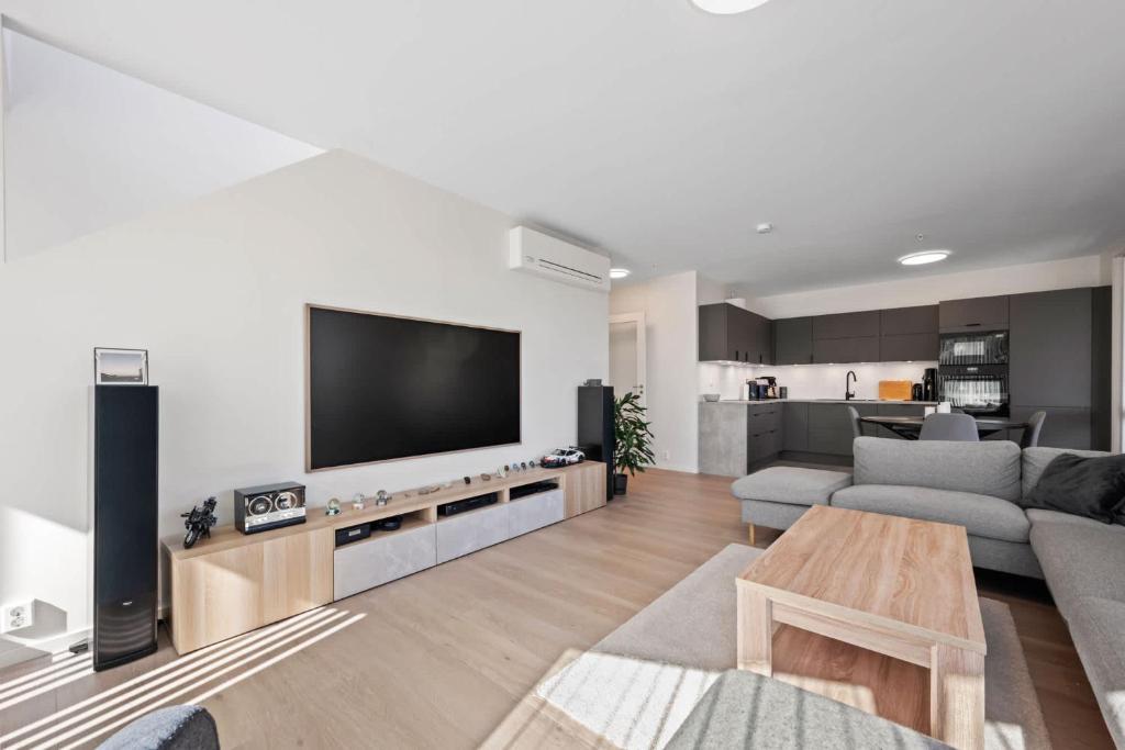 a living room with a couch and a tv at Penthouse with Rooftop Terrace & Balcony in Bergen