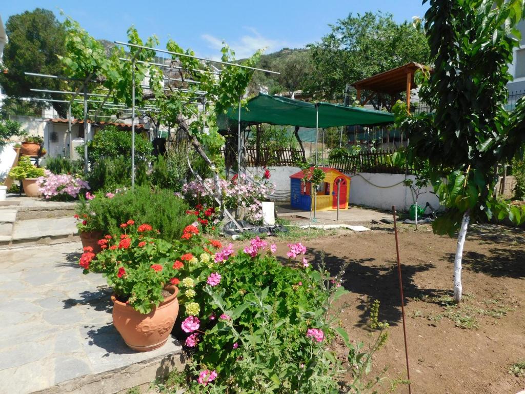 a garden with some flowers in a yard at Villa Dima in Paleo Tsifliki