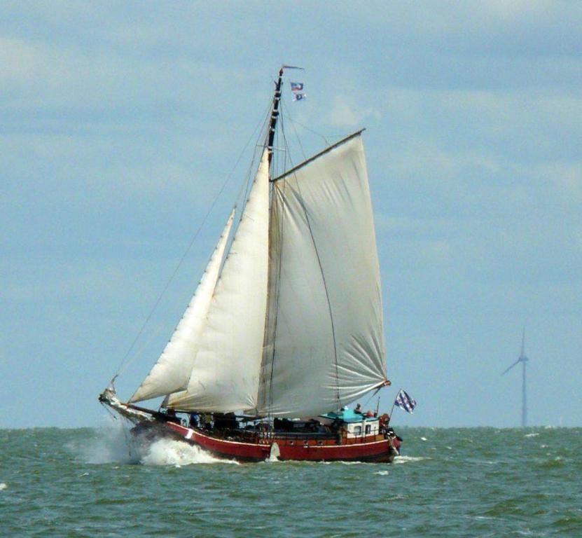 ロッテルダムにあるSudermarの水上に白帆の帆船