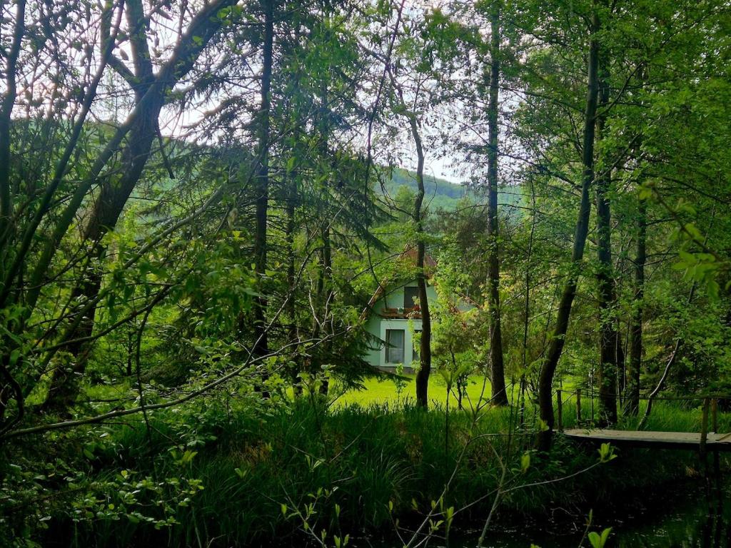 a house in the middle of a forest at Csendliget kulcsosház in Sub Cetate
