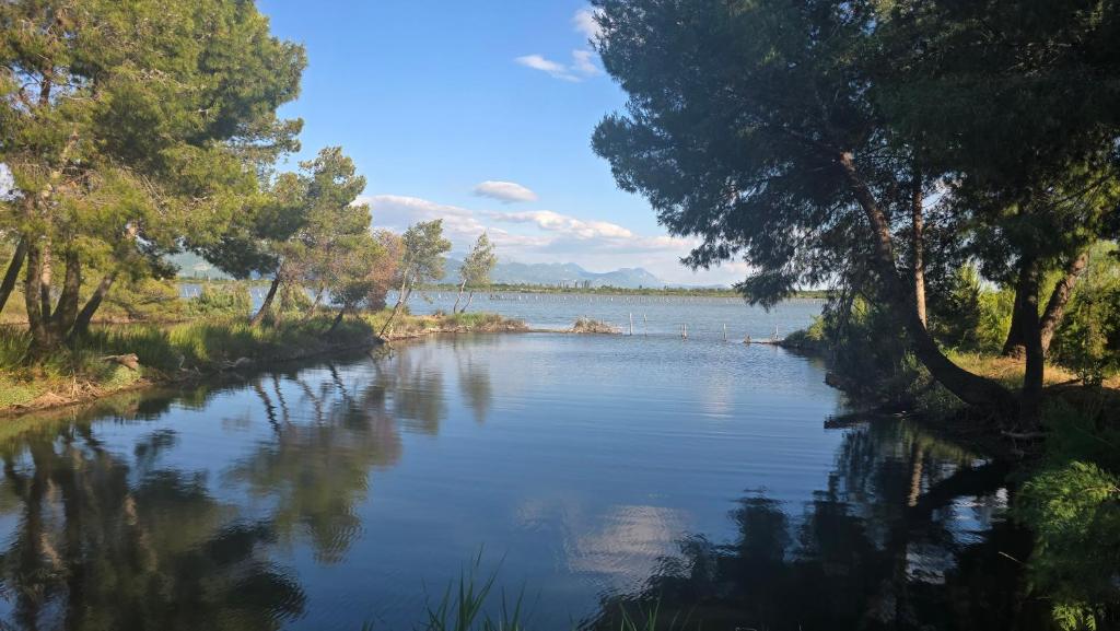 a river with trees on the side of it at Eni's Villa in Lezhë