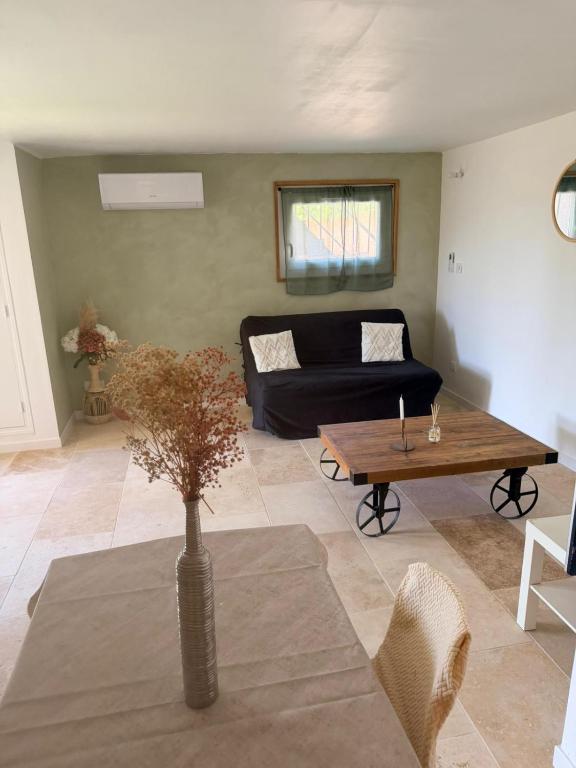 a living room with a couch and a table at Studio avec terrasse et parking privé in Château-Arnoux-Saint-Auban