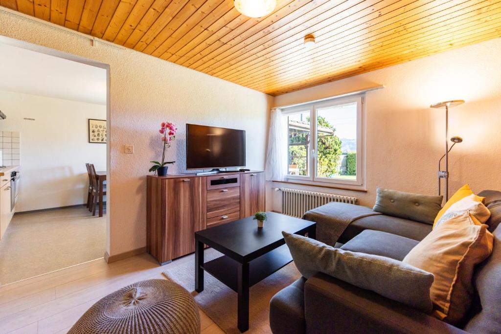 a living room with a couch and a tv at Luna in Thun