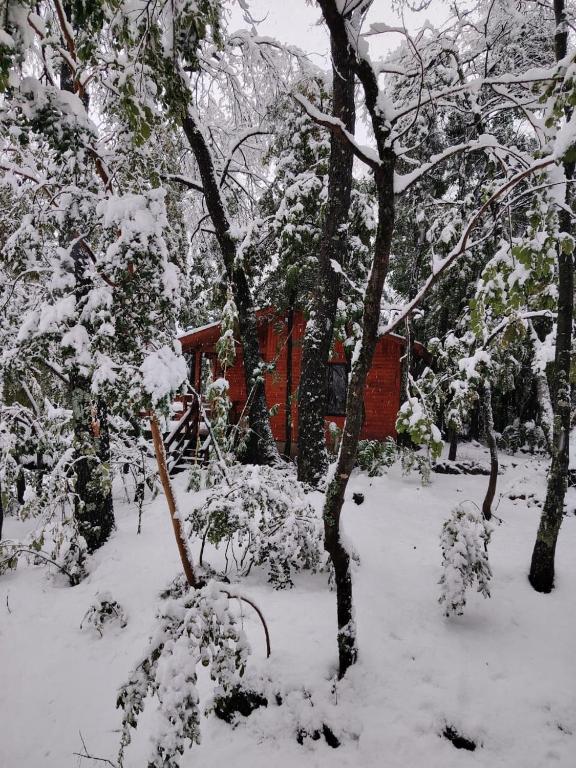 a snow covered yard with trees and a house at Cabañas Tía Marce, Los Lleuques in Recinto