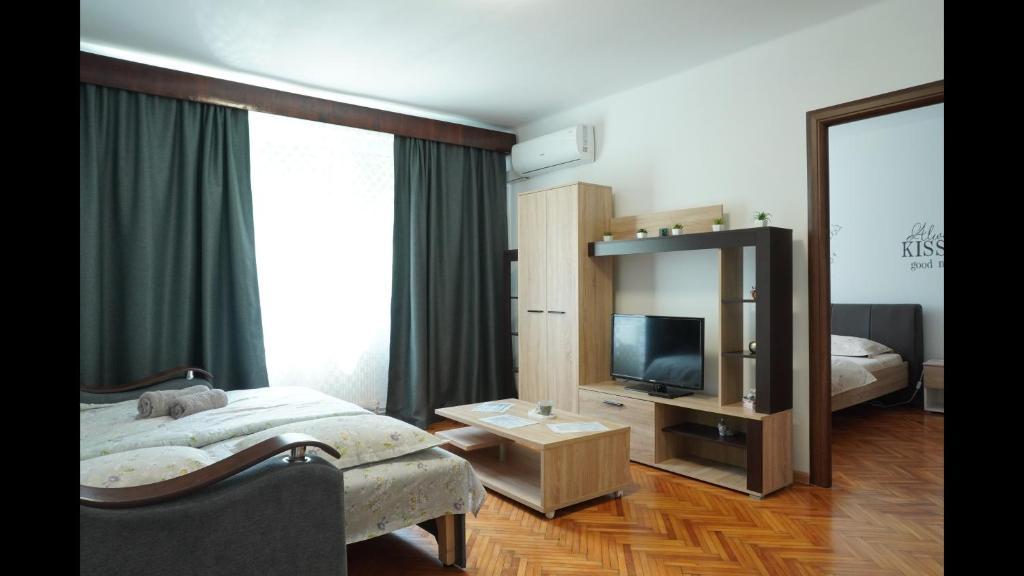 a bedroom with a bed and a television in it at Apartament Maria in Turda
