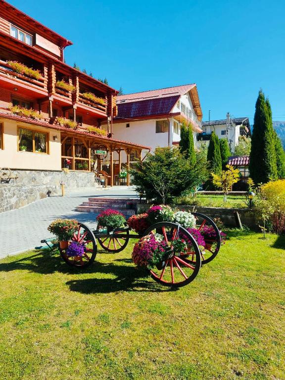 a group of flowers in front of a building at Pensiunea Moeciu Casa Wiarusti in Moieciu de Sus