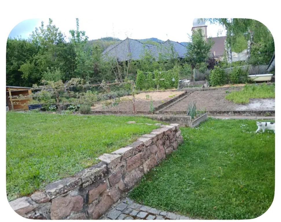 Charmant petit appartement avec bel exterieur. – photo 10