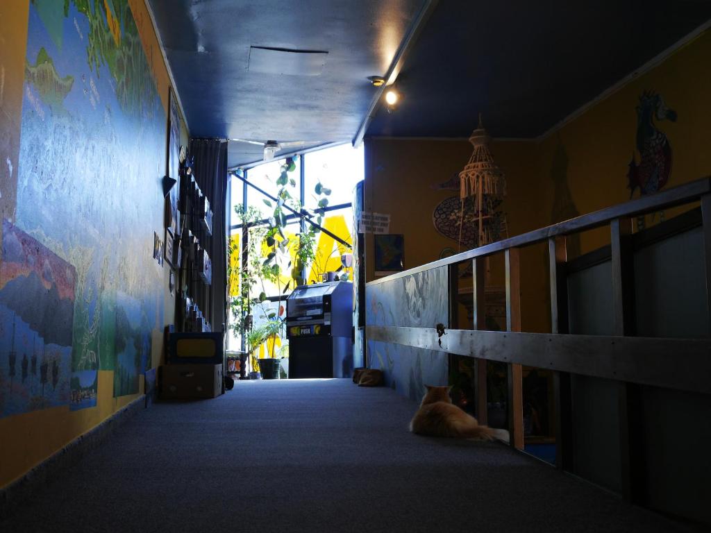 Atlantis Backpackers - Resim 37