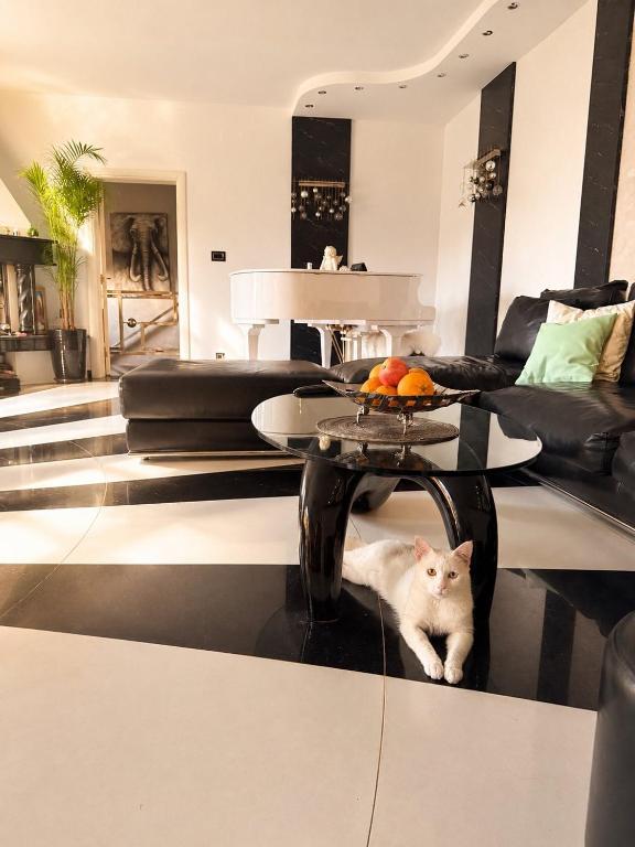 a white cat sitting under a table in a living room at Vila Angel in Bečići