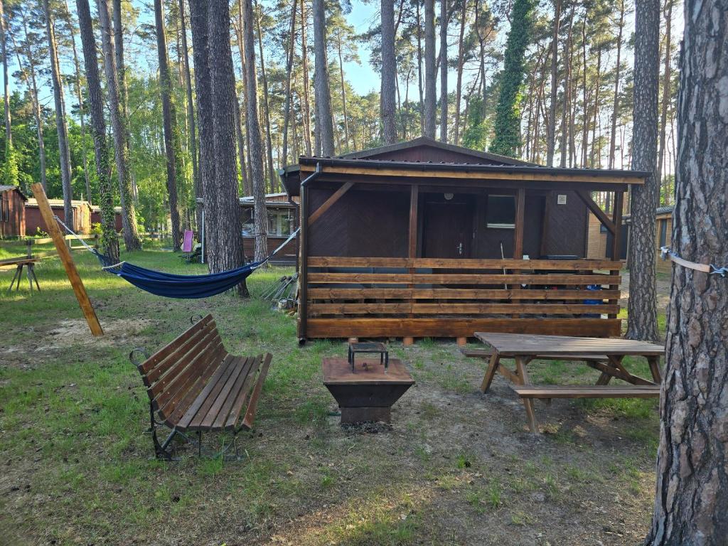 a cabin with a bench and a hammock in a forest at Domek Wakacyjny Patrycja 47 in Głębokie