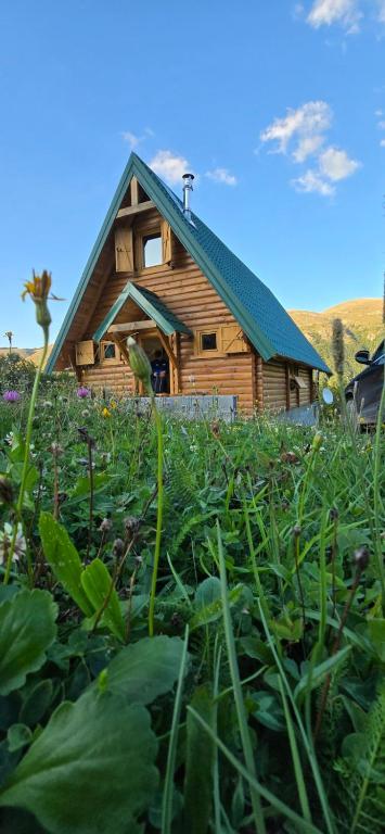 a wooden cabin with a green roof in a field of plants at Vila Gorska in Šavnik