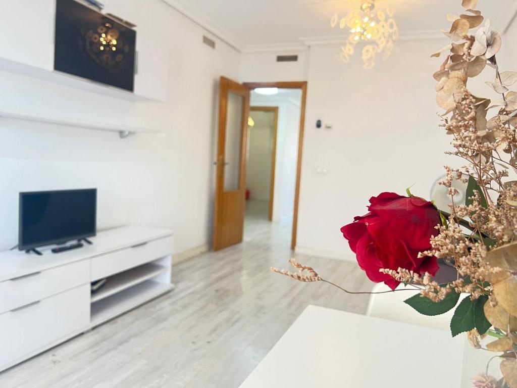 Playa San Juan Apartment