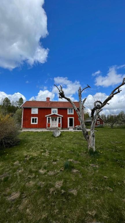 a red barn with a tree in a field at Villa Barkaboda in Barkaboda