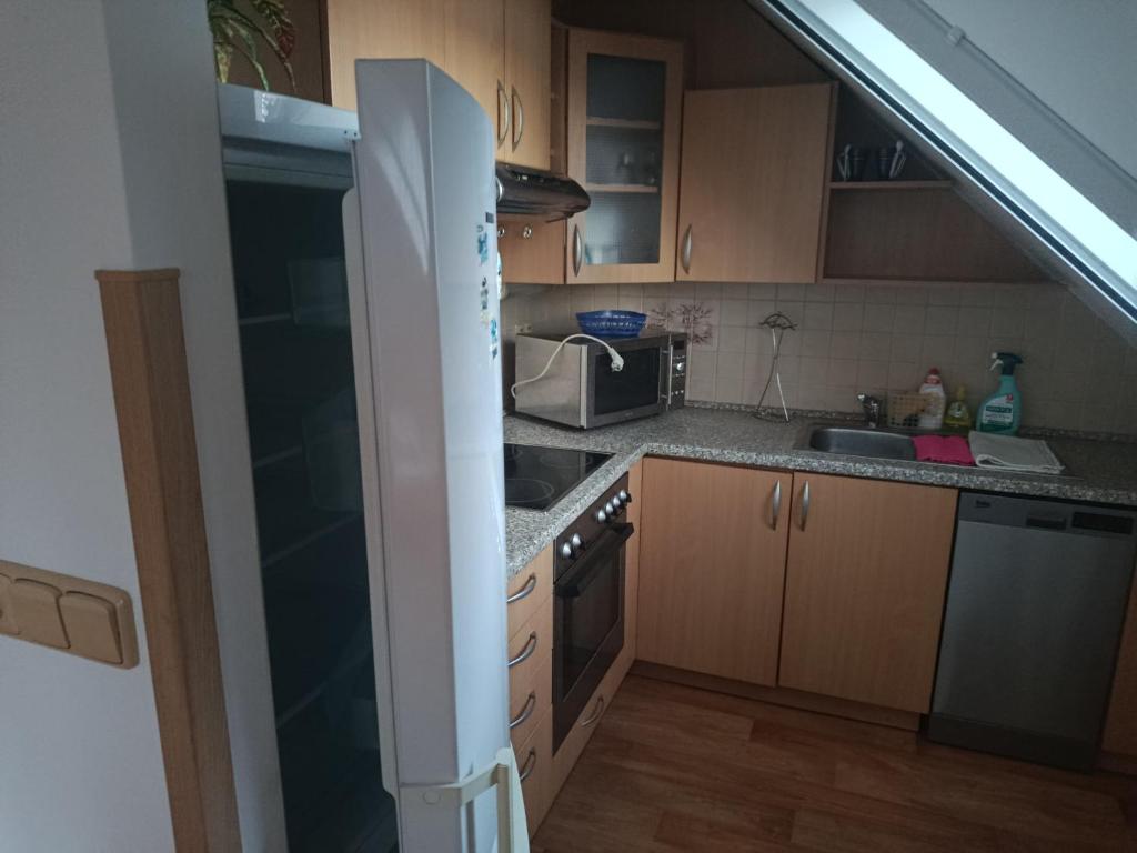 a small kitchen with a sink and a microwave at Apartmán Penzion Sigma in Dolní Žďár