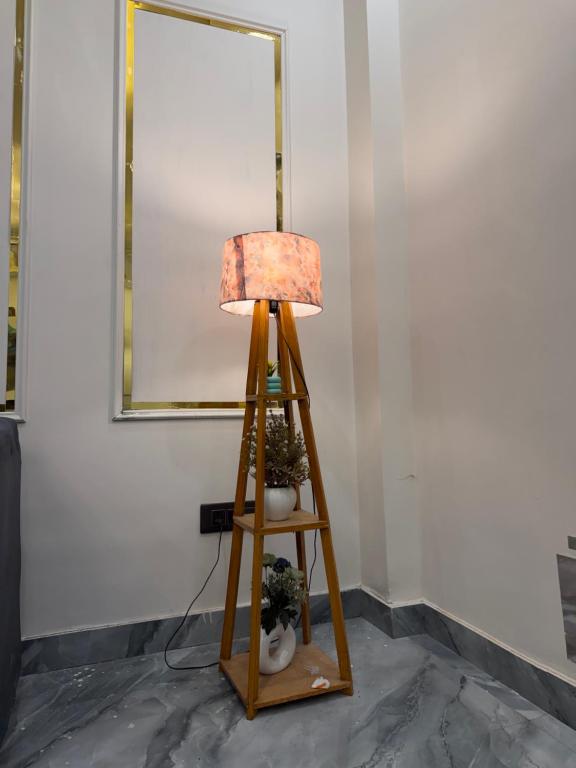 a lamp on a wooden ladder next to two plants at Luxurious Villa in Ghaziabad