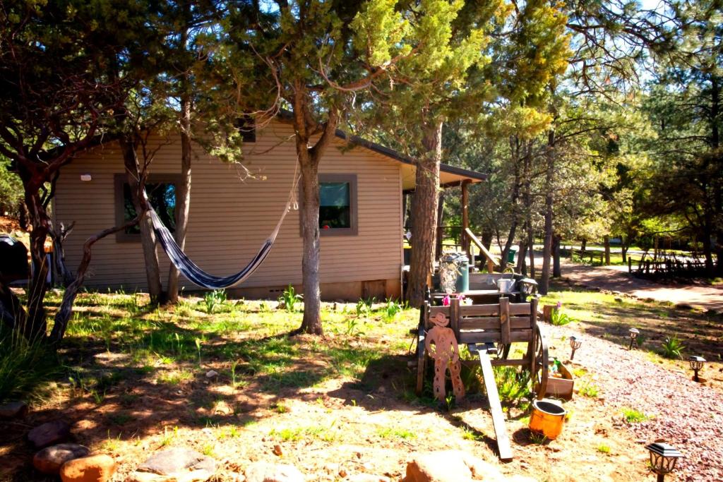 a house with a hammock in front of it at Peaceful Pine Place Cabin in Pine