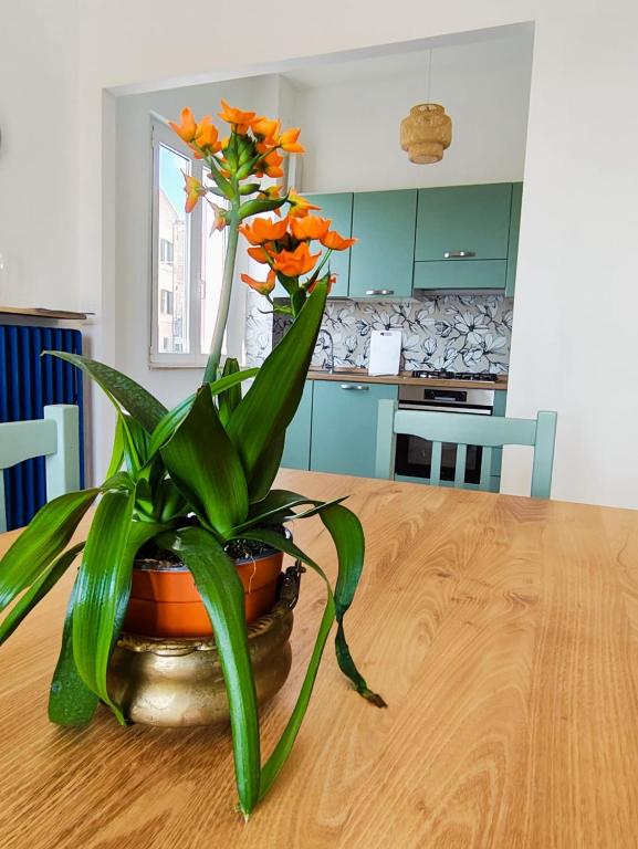a plant sitting on top of a wooden table at Dimora al Civico 35 in Montefano