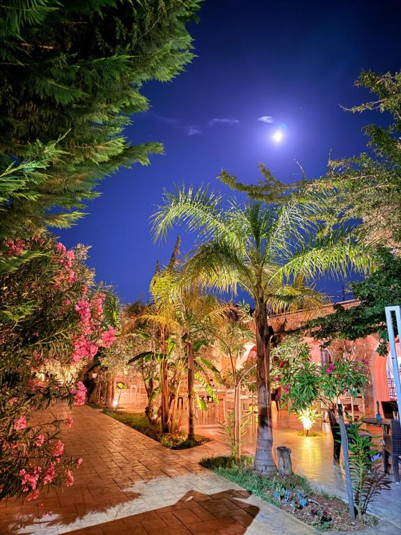 a night view of a garden with palm trees at Rida Village Hotel Ksamil Island in Ksamil