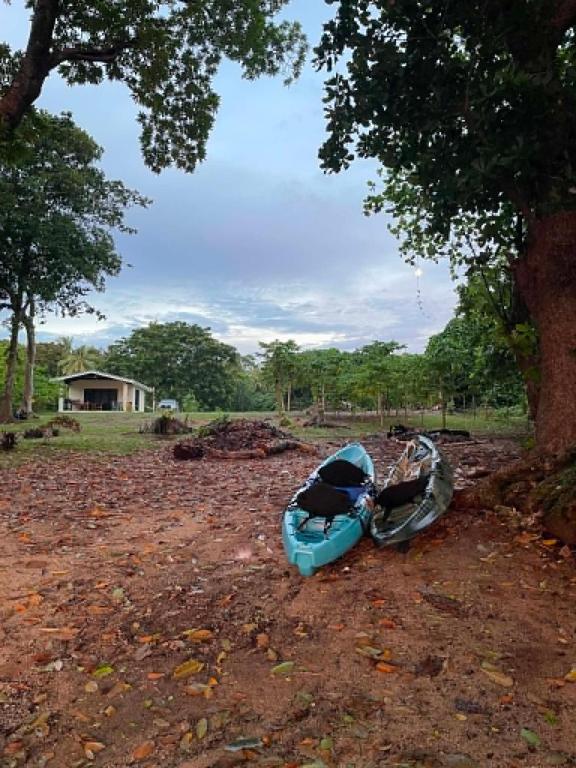 a blue kayak laying on the ground under a tree at Helt Vanua Lodge in Saraotou