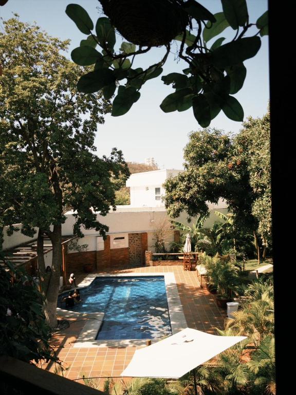 a swimming pool in the middle of a yard with trees at Hotel Jardin Boutique rodadero in Santa Marta