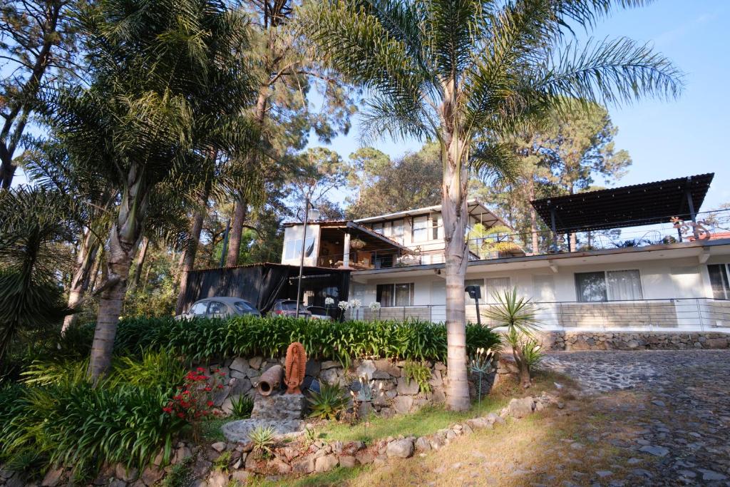 a house with palm trees in front of it at Casa Los Agapandos in Valle de Bravo