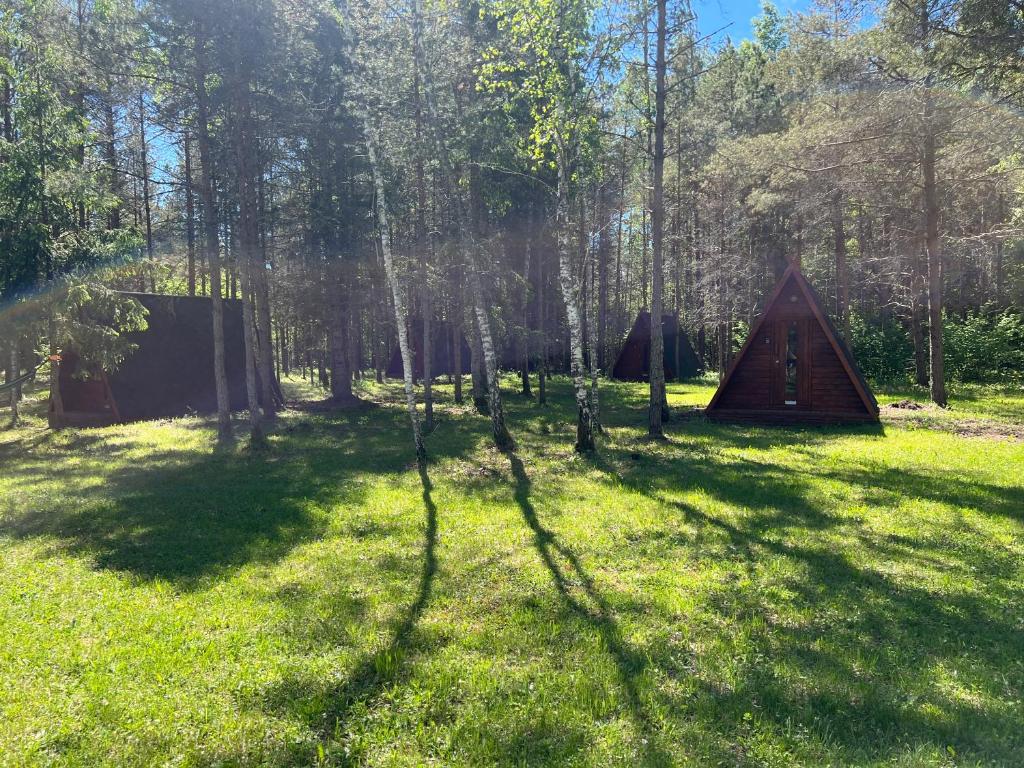 a group of tents in a field with trees at Kargevärava kämping in Kapra